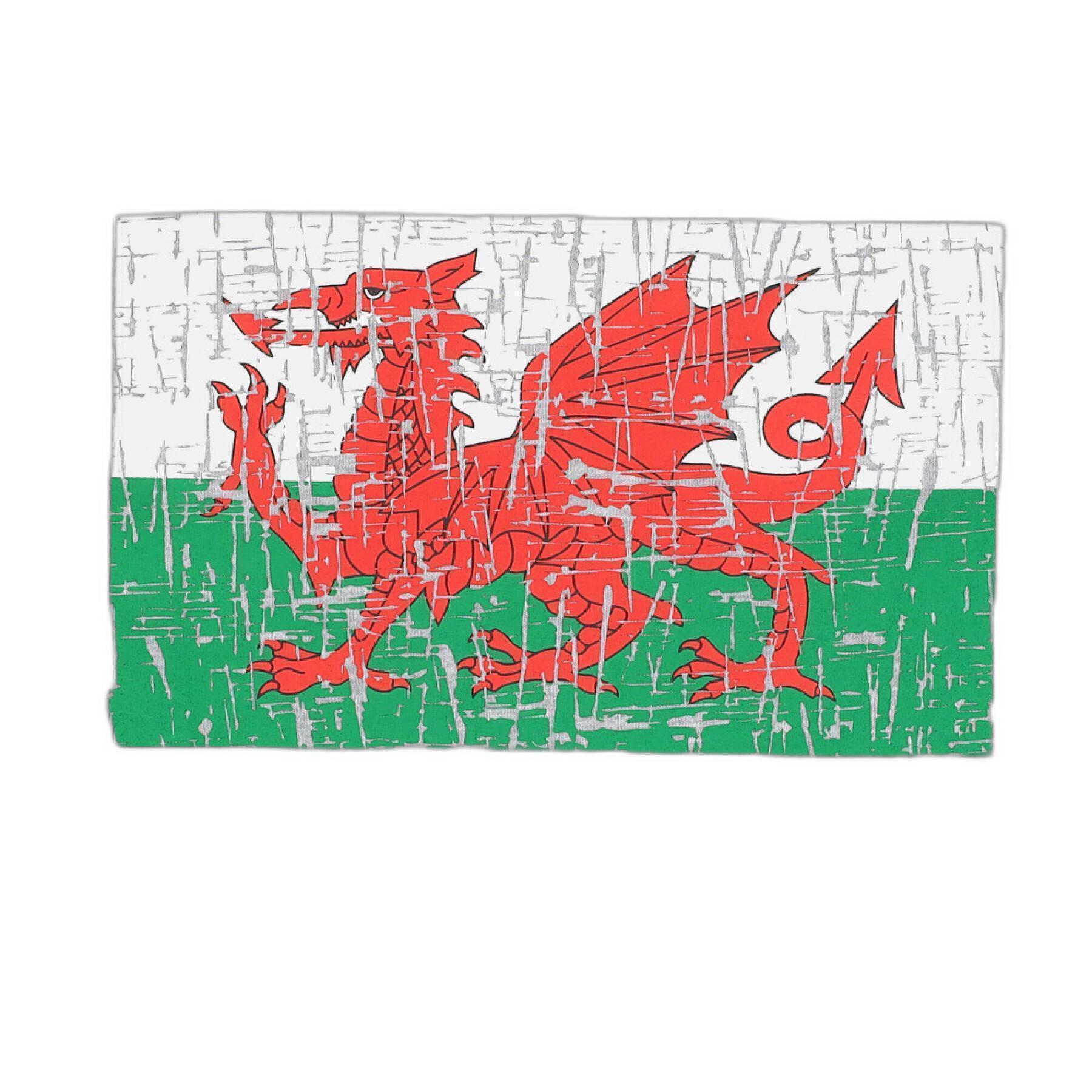 Maglietta per bambini Pays de Galles Rugby XV 2020/21