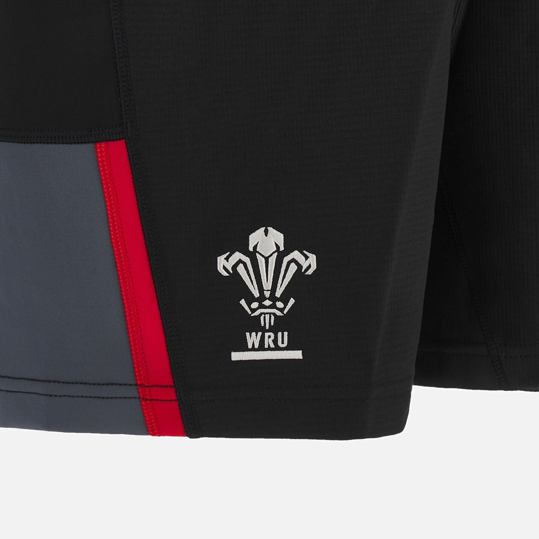 Pantaloncini da allenamento per bambini Pays de Galles XV 2022/23